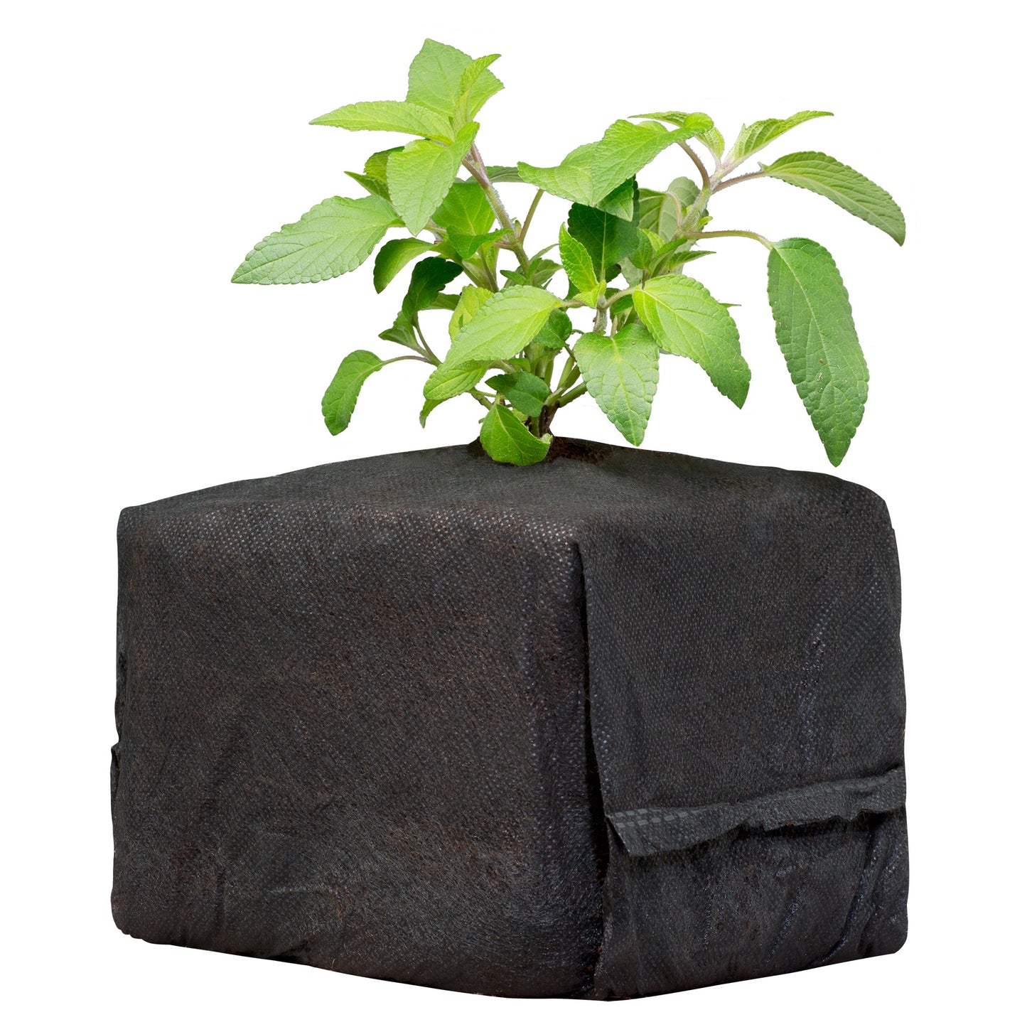Botanicare® CocoPro Coir Cube 6x6x6 (1 Case 30Ct)