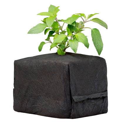 Botanicare® CocoPro Coir Cube 6x6x6 (1 Case 30Ct)