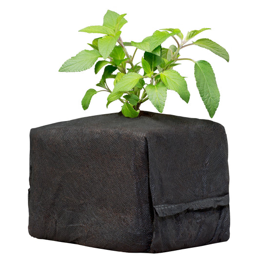 Botanicare® CocoPro Coir Cube 6x6x6 (1 Case 30Ct)