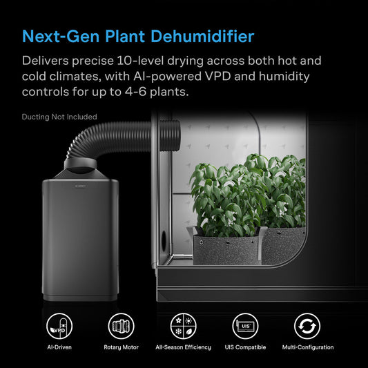 HYDRONE 7, Plant Dehumidifier with AI-Powered Humidity VPD Controller, for 4-6 Plants