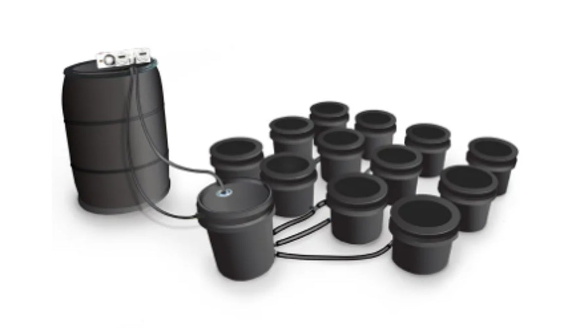 Big Boy Ebb & Flow Hydroponic System 6 Site