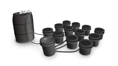 Big Boy Ebb & Flow Hydroponic System 6 Site