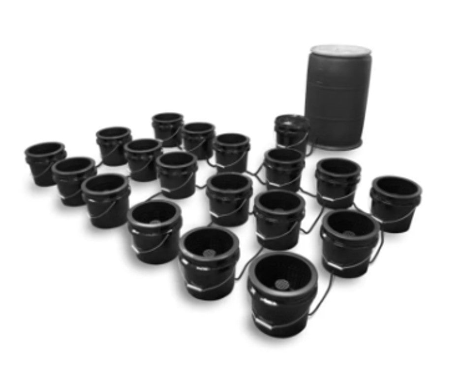 Big Boy Ebb & Flow Hydroponic System 6 Site