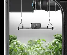 IONBOARD S44, Grow Light Board 430W, Full Spectrum LED 4x4